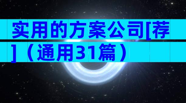实用的方案公司[荐]（通用31篇）